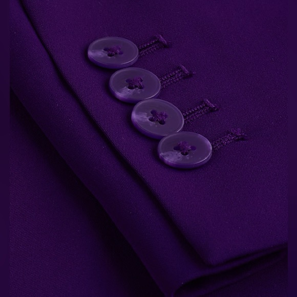 Express Stylist Cinch Waist Boyfriend Blazer - PURPLE - Medium - Picture 14 of 15